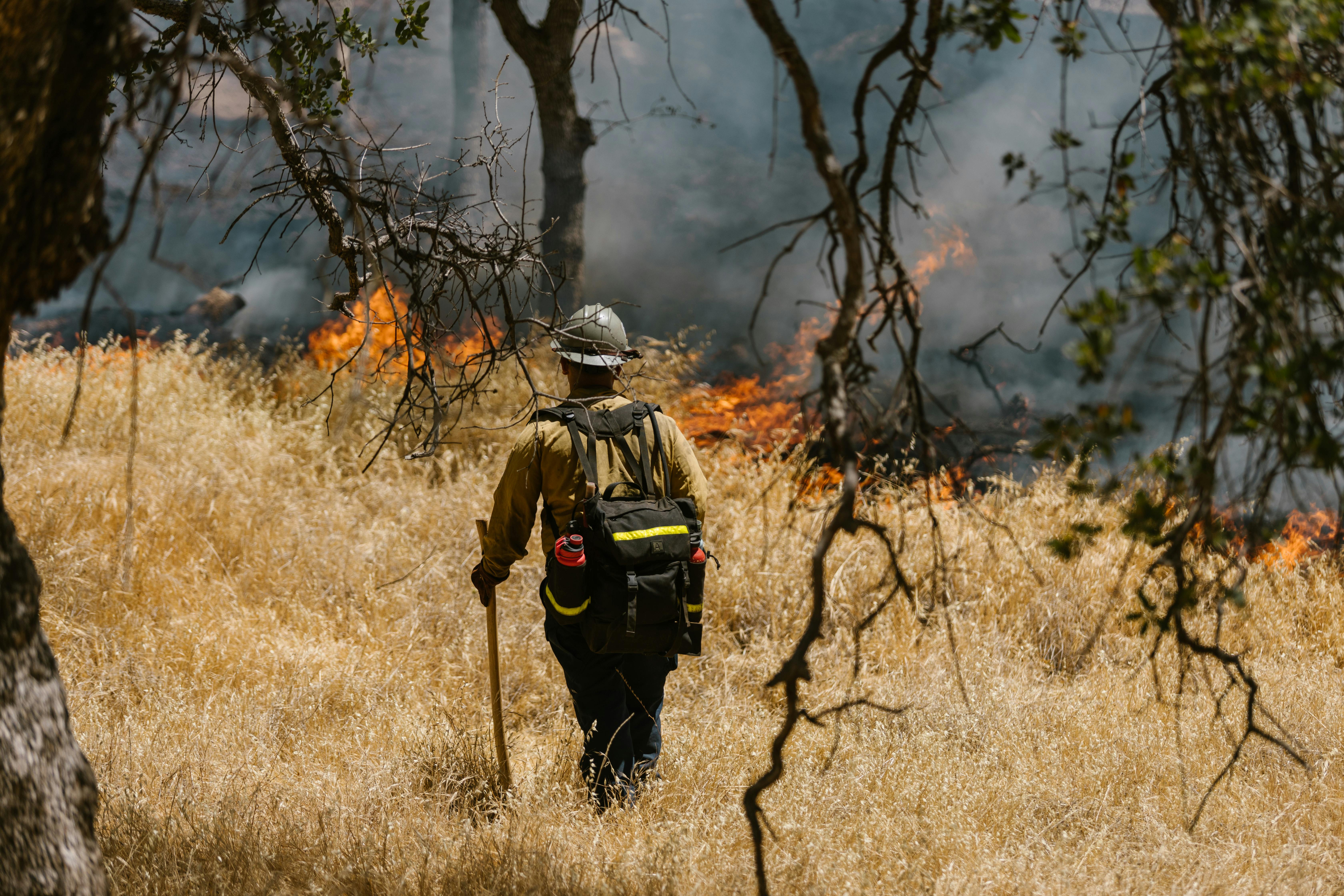 Revolutionizing Firefighting: AI-Based Early Fire Detection in California's War Against Wildfires