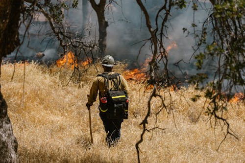 Firefighter Walking towards a Forest Fire in California