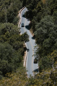 Aerial view of a curvy road cutting through a lush green forest, showing cars moving along the tranquil path.