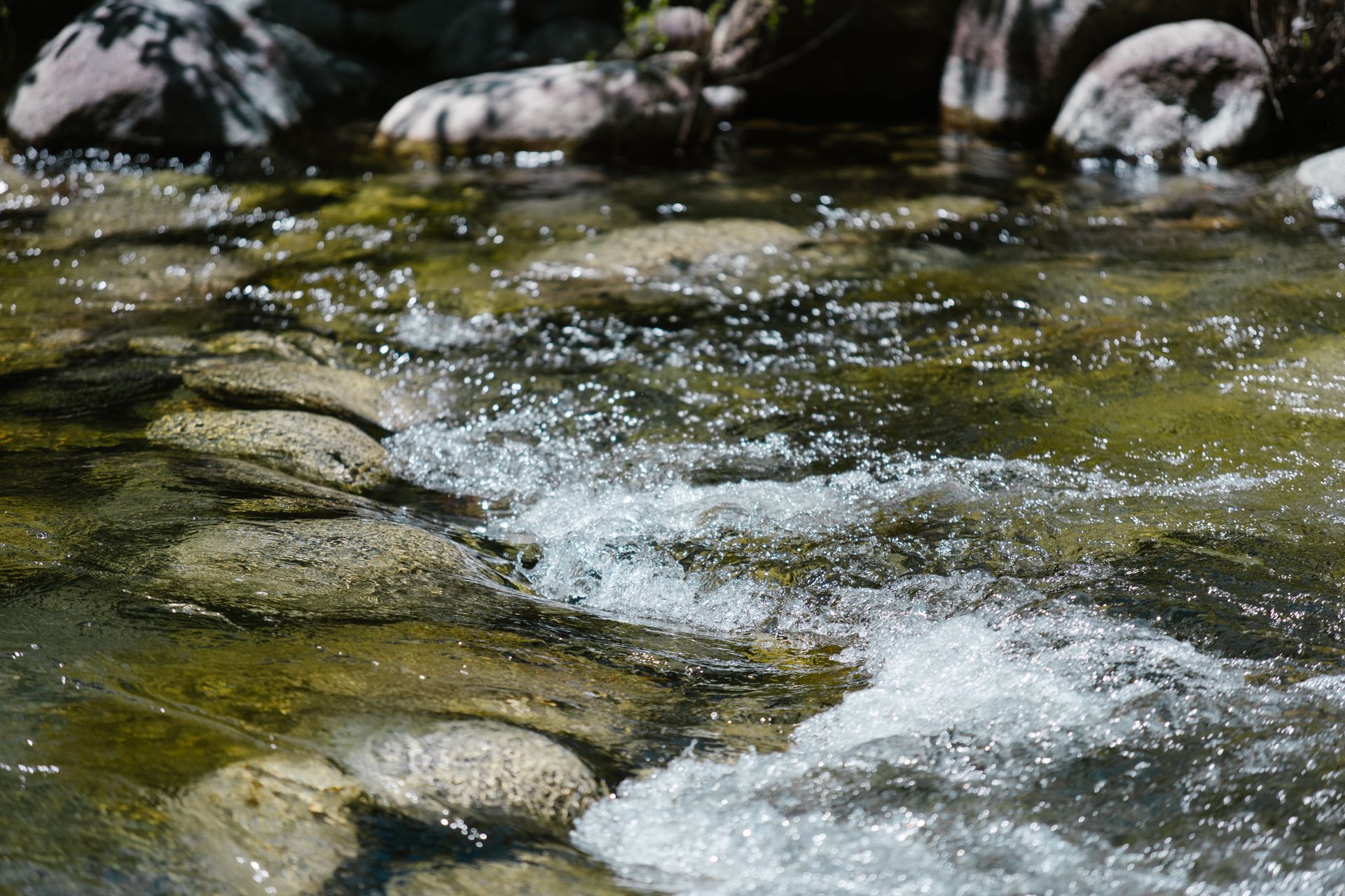 Close-up of Clear Water and Stones in a Stream