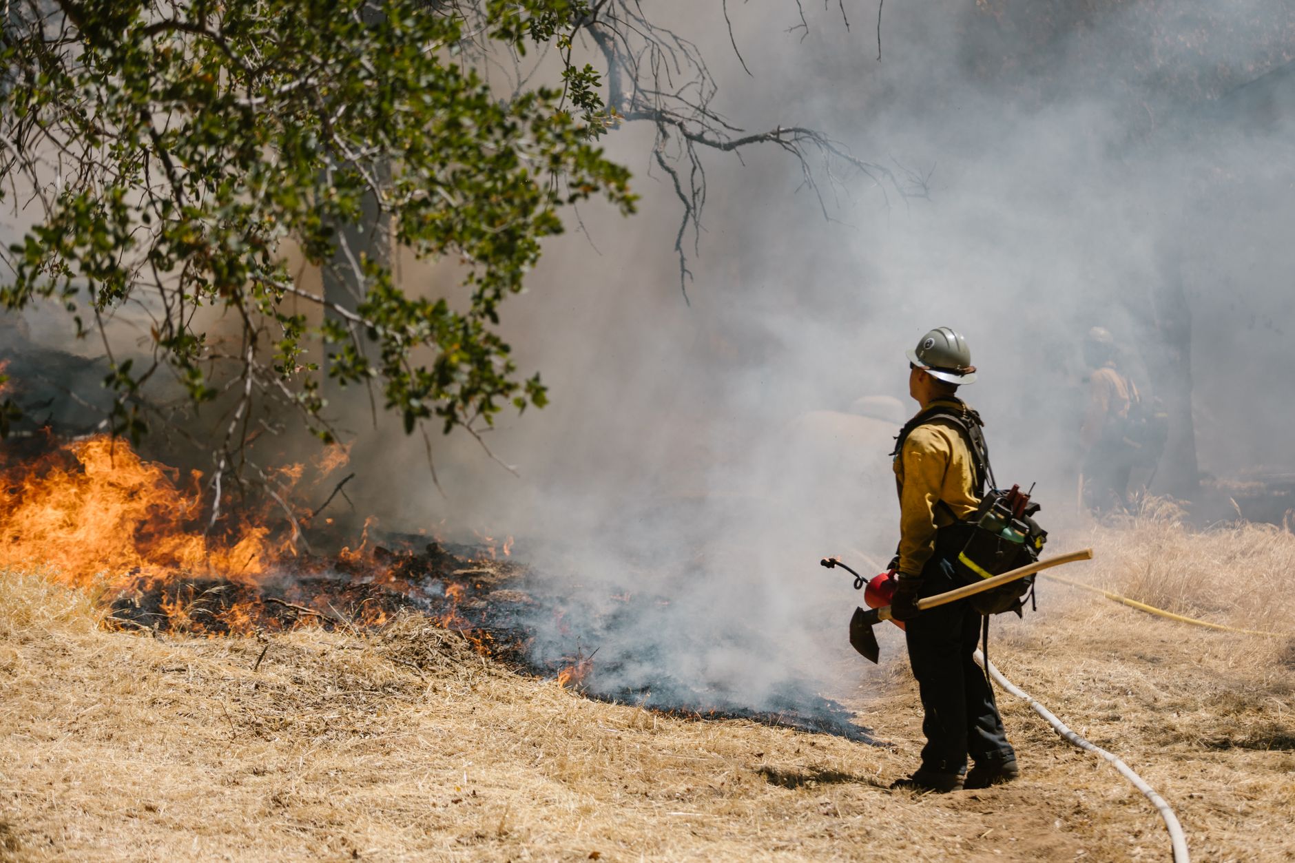 Wildfire Smoke Blankets Midwest to East Coast, Triggering Health Warnings and Market Shifts