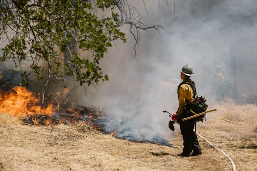 Firefighter in protective gear tackling a forest wildfire with smoke and flames in daylight.