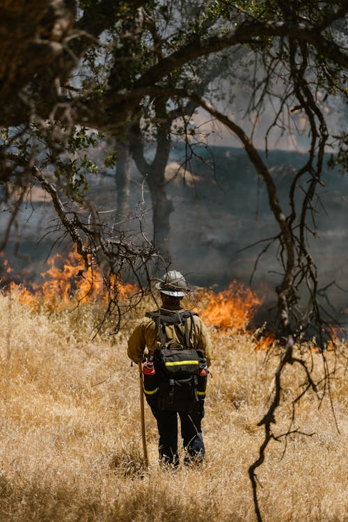 Firefighter Looking at a Wildfire 