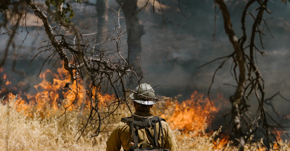 Photo by RDNE Stock project A firefighter facing a forest fire with dry foliage, highlighting the challenges of combating natural disasters.
