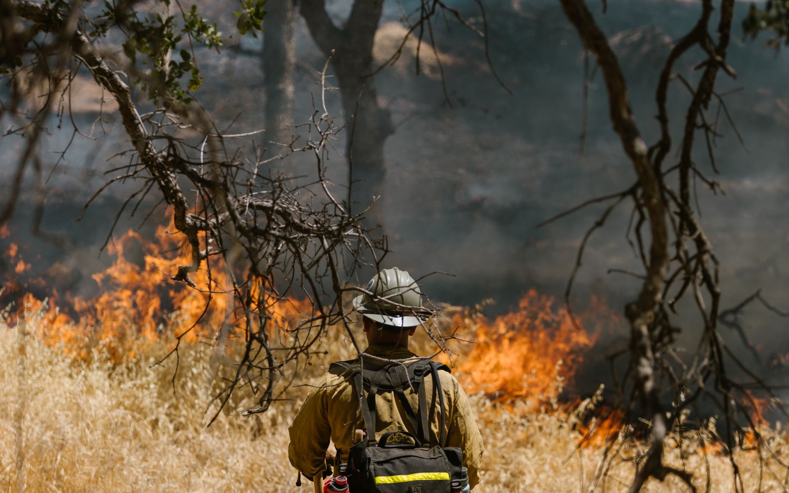 A firefighter in protective gear faces an active wildfire with dense smoke