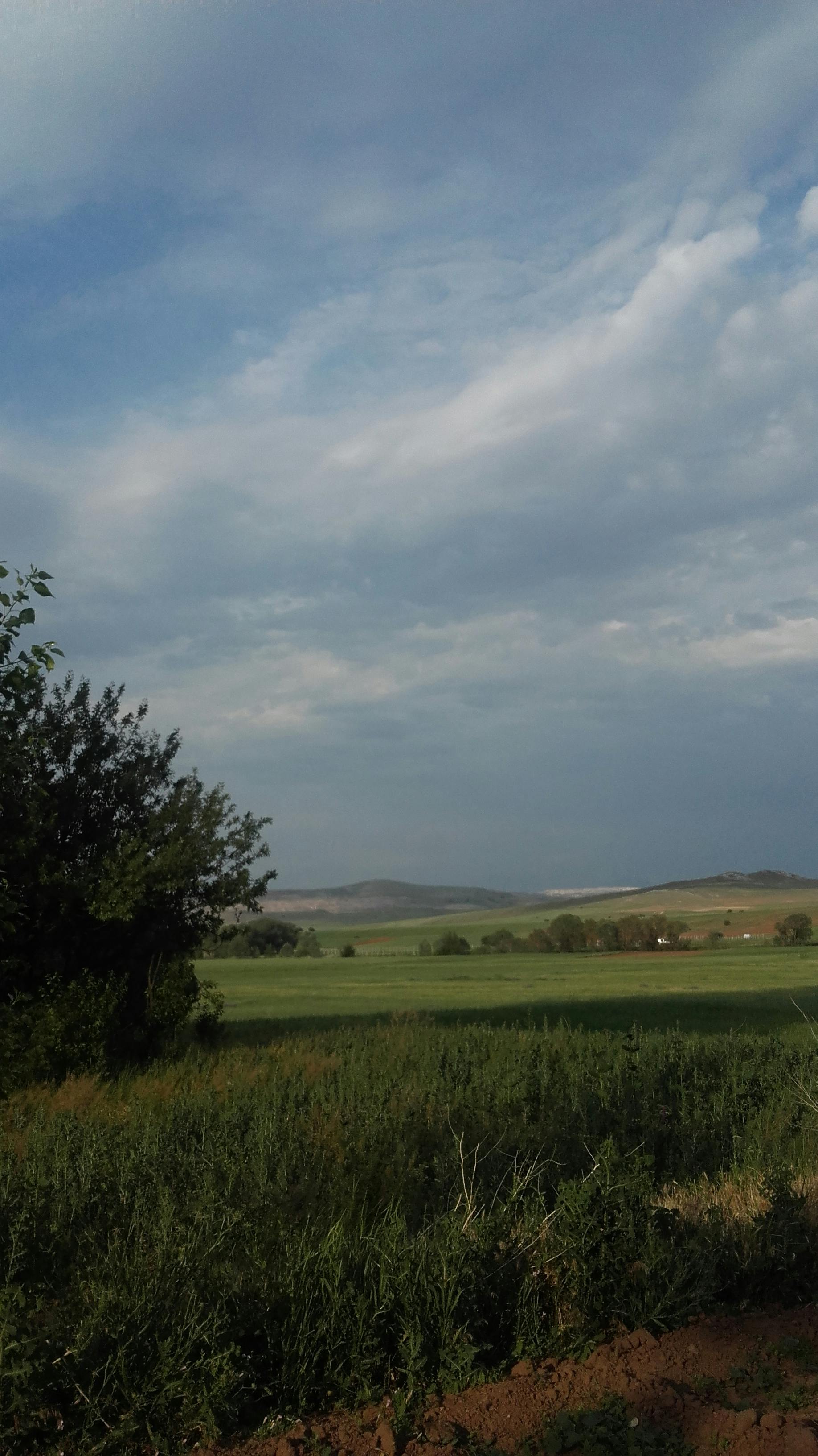 Esteticista Dermaluxe