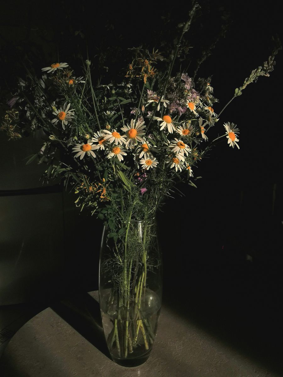 Loose bunch of wild daisies in a glass vase in low light — photo by Daria Poshtarenko on Pexels