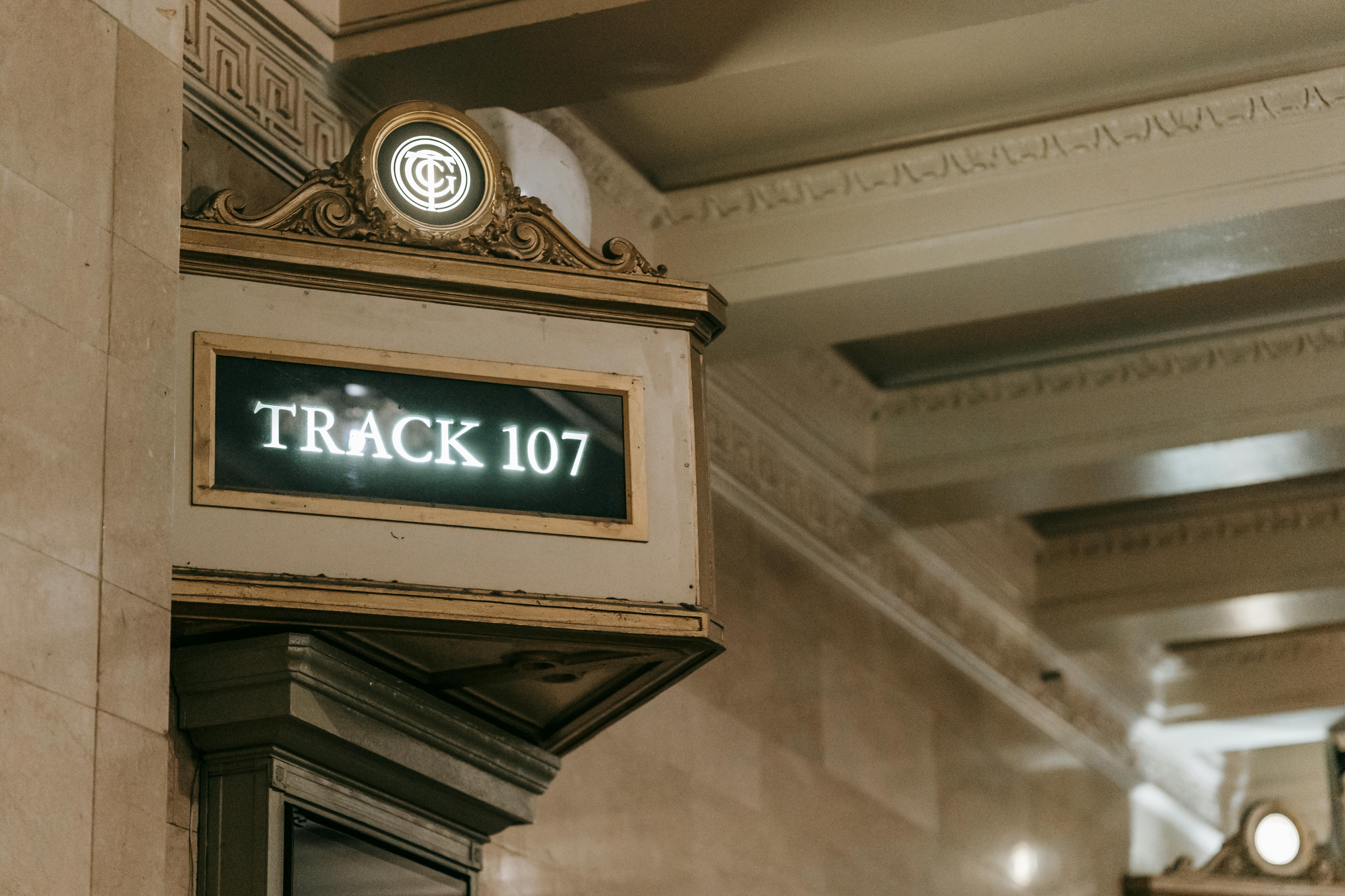 Deckenmontierte Lichtschiene mit verstellbaren Spots in einem hellen Wohnraum