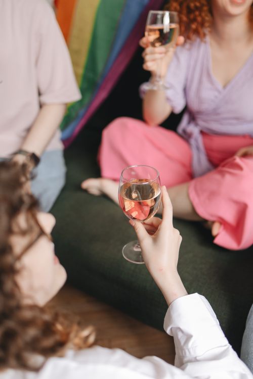 Free Group of adults enjoying wine at a cozy indoor gathering, holding glasses in a relaxed setting. Stock Photo