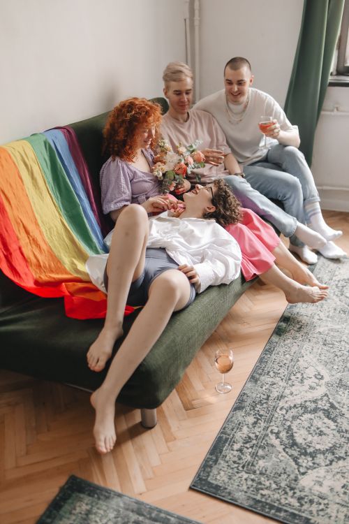 Free A joyful group of LGBTQ friends enjoying a relaxed moment indoors with a rainbow flag draped over a couch. Stock Photo