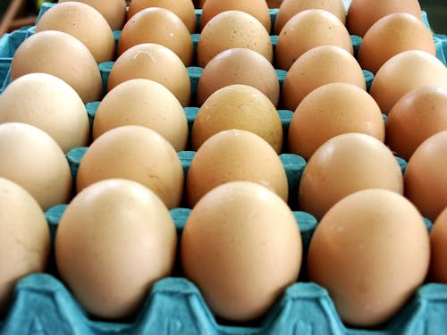 Free Brown Eggs in Egg Tray Stock Photo