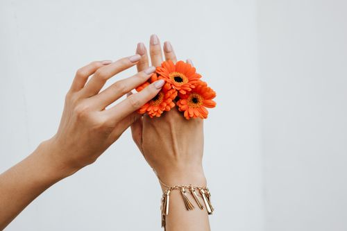 Free Close-up of hands holding vibrant orange Gerbera daisies, adorned with a stylish bracelet. Stock Photo