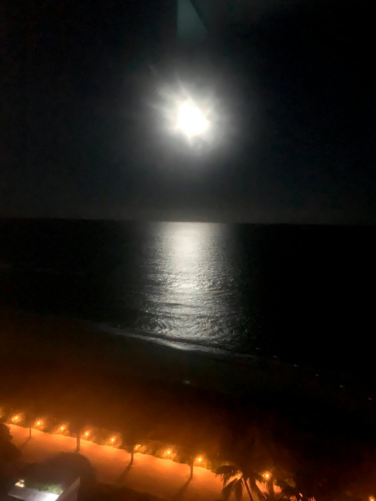 Green powdered supplement being mixed into a glass of water