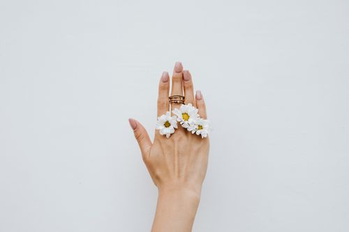 Free Aesthetic hand adorned with gold rings and white daisies against a minimalist white backdrop, perfect for fashion and beauty themes. Stock Photo