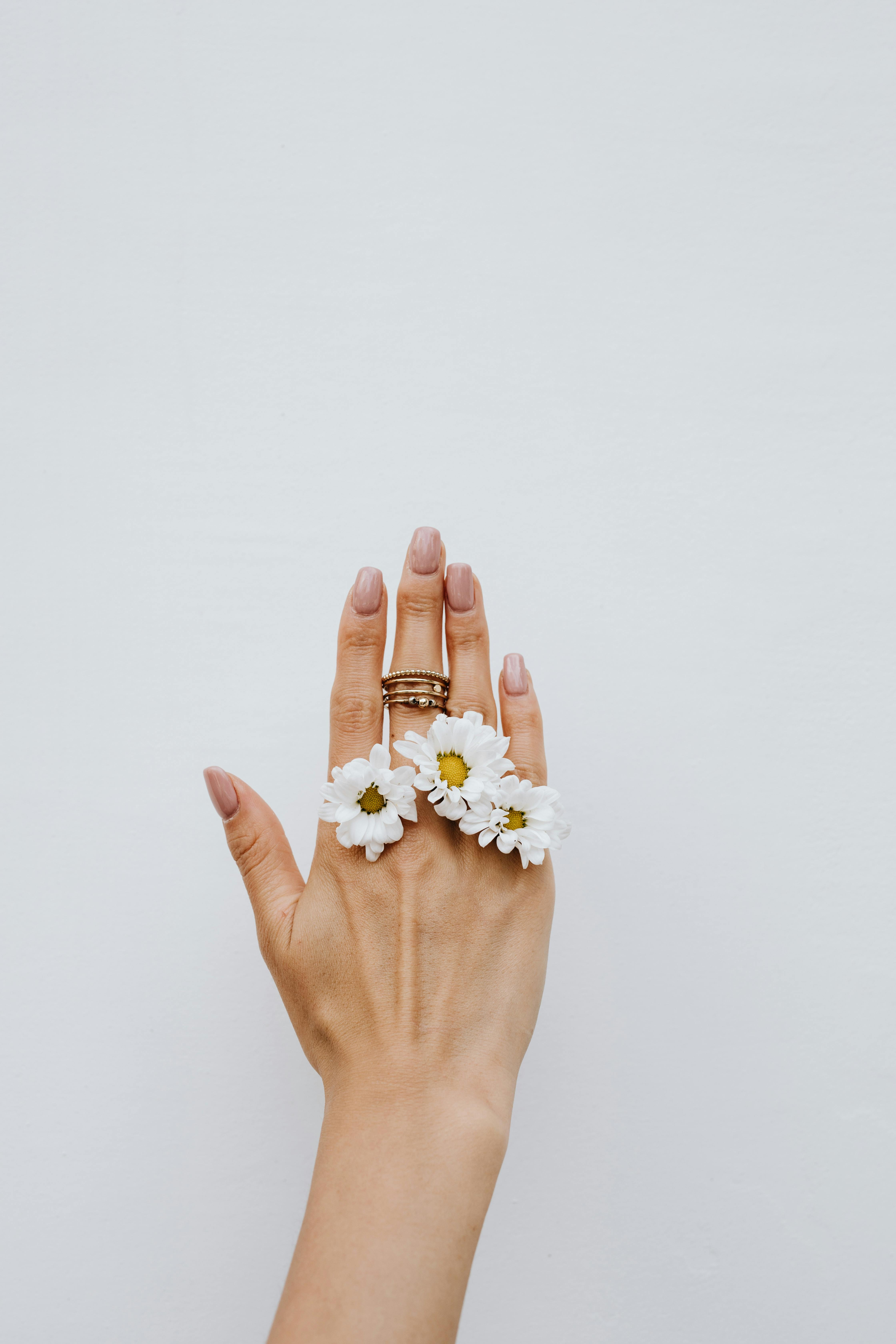 Close-up of a woman's hand adorned with daisy flowers and rings against a white background.