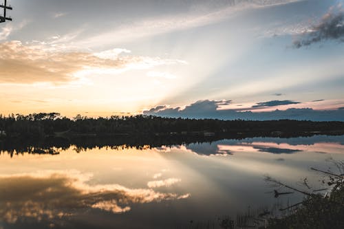 Бесплатное стоковое фото с водоем, восход, деревья