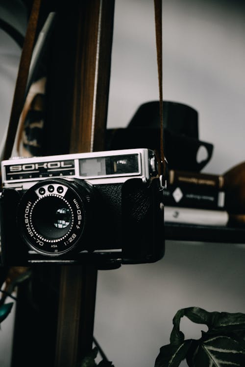 Základová fotografie zdarma na téma analogový fotoaparát, dřevěná police, filmová kamera