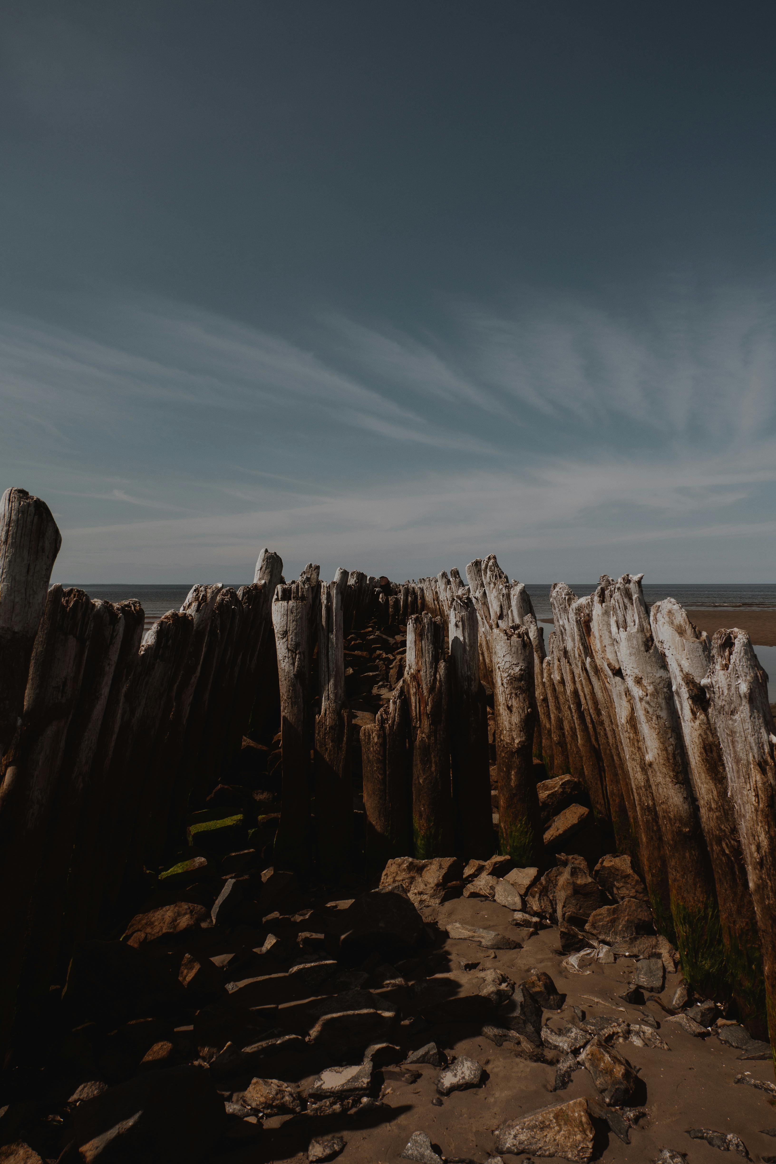Weathered wooden groynes leading to the sea on a sandy beach under a clear sky.