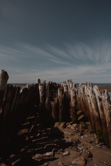 Weathered wooden groynes leading to the sea on a sandy beach under a clear sky.