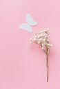 Free stock photo of accessories, accessory, background