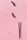 eyelash