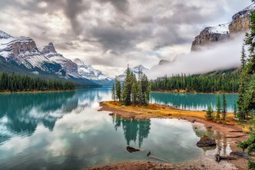 Бесплатное стоковое фото с mountain, заснеженная гора, зеленые деревья