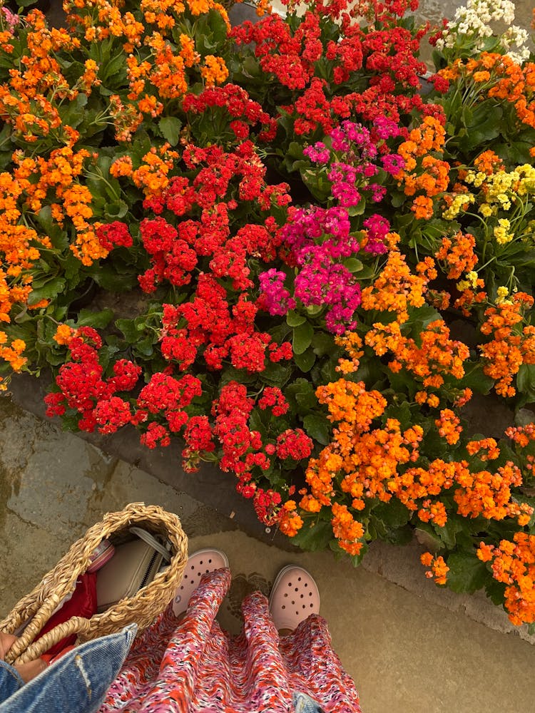 Crop Woman In Dress And With Straw Bag Near Flowers