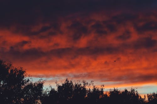 Gratis Foto stok gratis awan, awan merah, cuaca Foto Stok