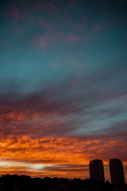 Silhouette of Trees and Buildings Under Beautiful Red Sky