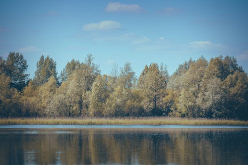 Kostenloses Stock Foto zu blauer himmel, draußen, fluss