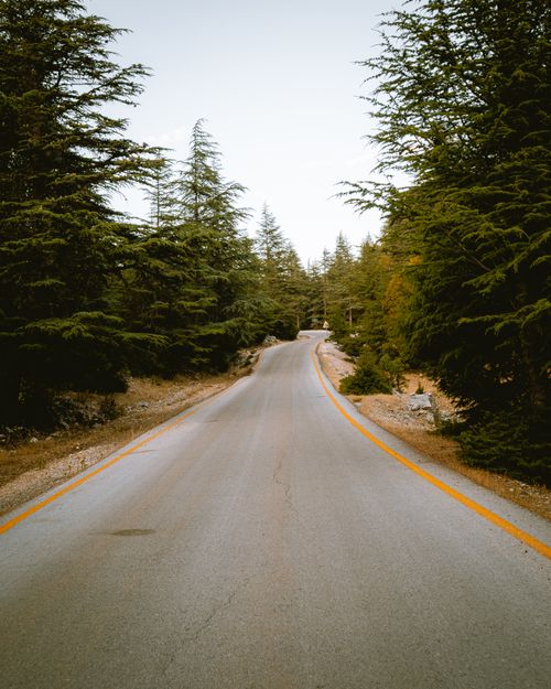 Free A tranquil paved road winding through dense trees in Antalya, Türkiye, showcasing nature's beauty. Stock Photo