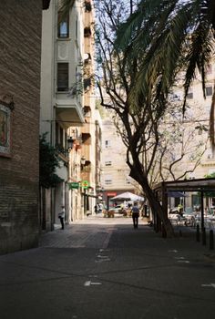 Quiet city street in Valencia, Spain with historic buildings and lush palm trees.