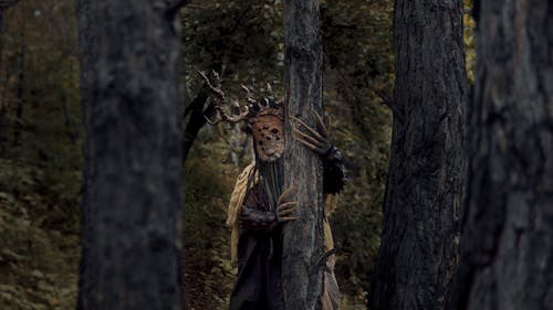 A Creepy Creature Standing Behind the Tree