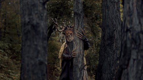 Ingyenes stockfotó áll, boszorkány doktor, erdő témában