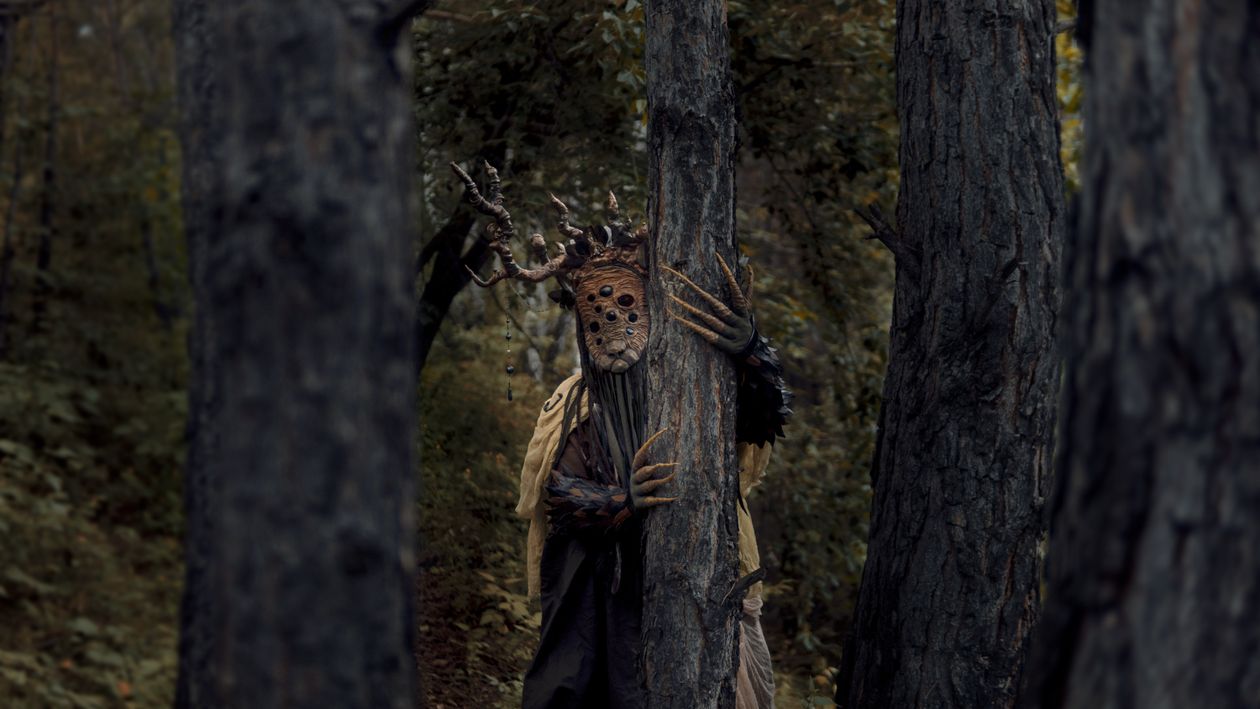 A Creepy Creature Standing Behind the Tree · Free Stock Photo