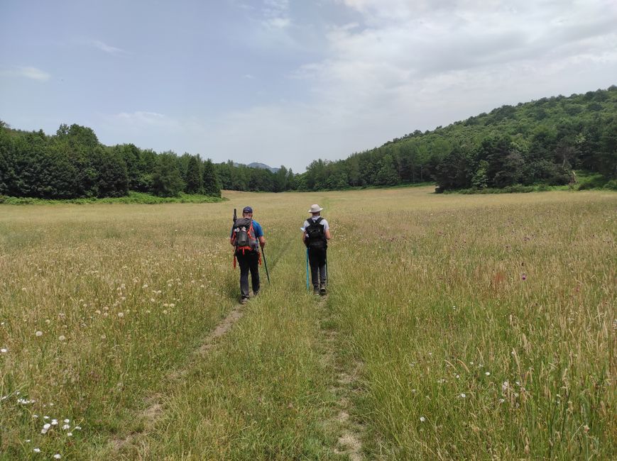 Two hikers walking through a grassy field surrounded by forested hills under a cloudy sky.