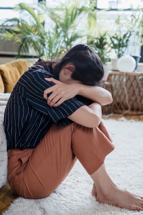 Free A woman sits on the floor hugging her knees, surrounded by indoor plants in a cozy living room. Stock Photo