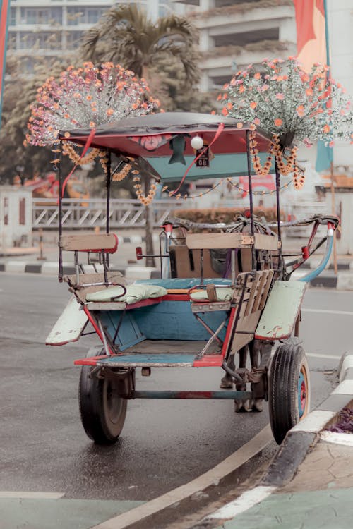A Rickshaw on a Street · Free Stock Photo