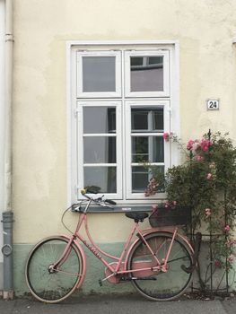 A pastel pink bike parked by a window with blooming roses, evoking a quaint charm.