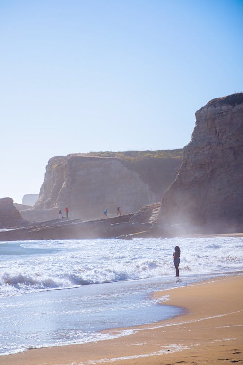 People on the Beach on a Sunny Day