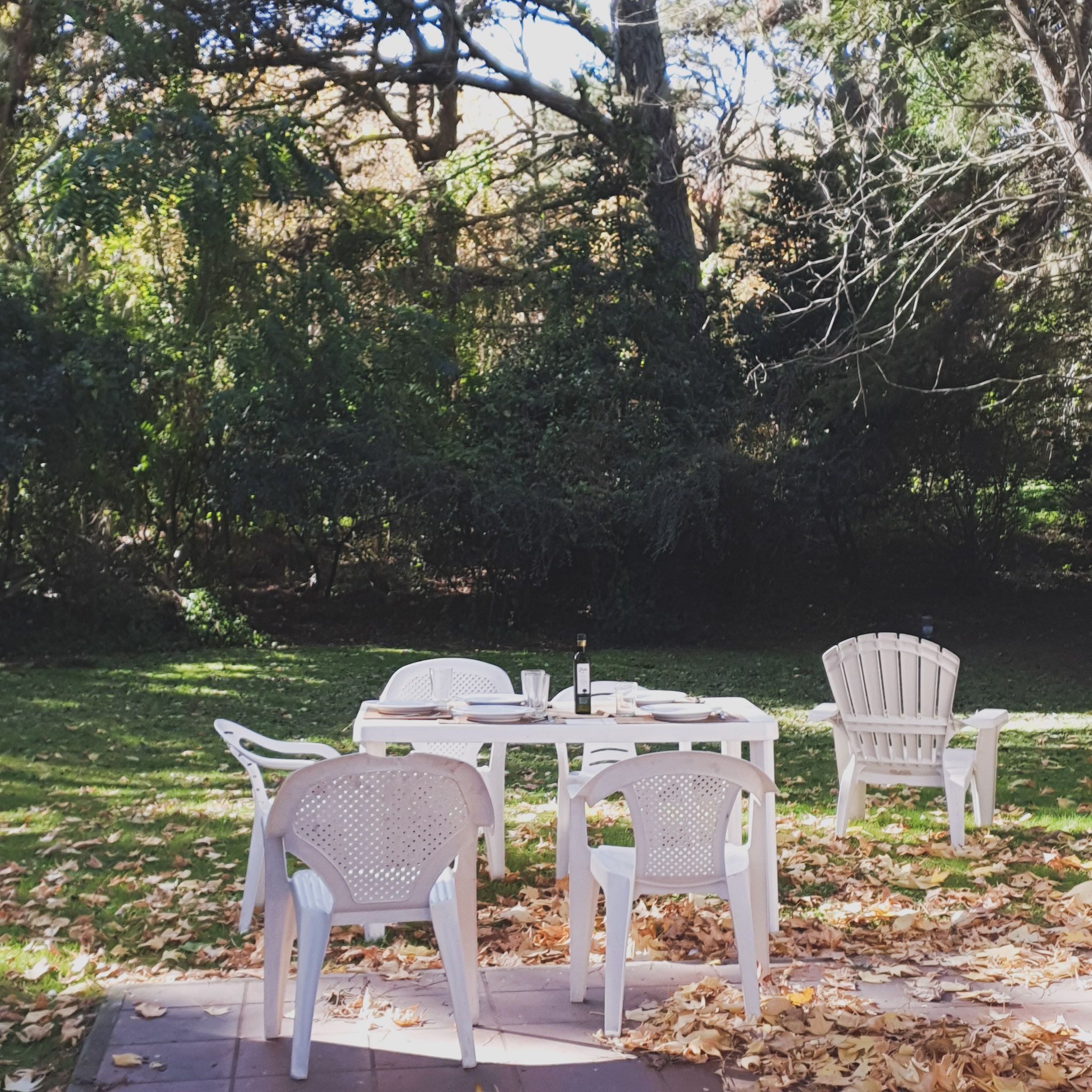 Dining Furniture