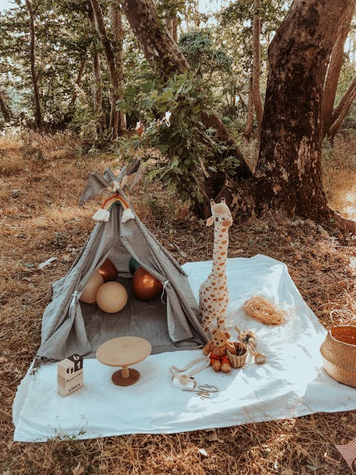 Ilmainen kuvapankkikuva tunnisteilla lelut, piknikpeite, teltta