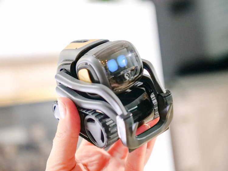 Person Holding Miniature Robot Toy