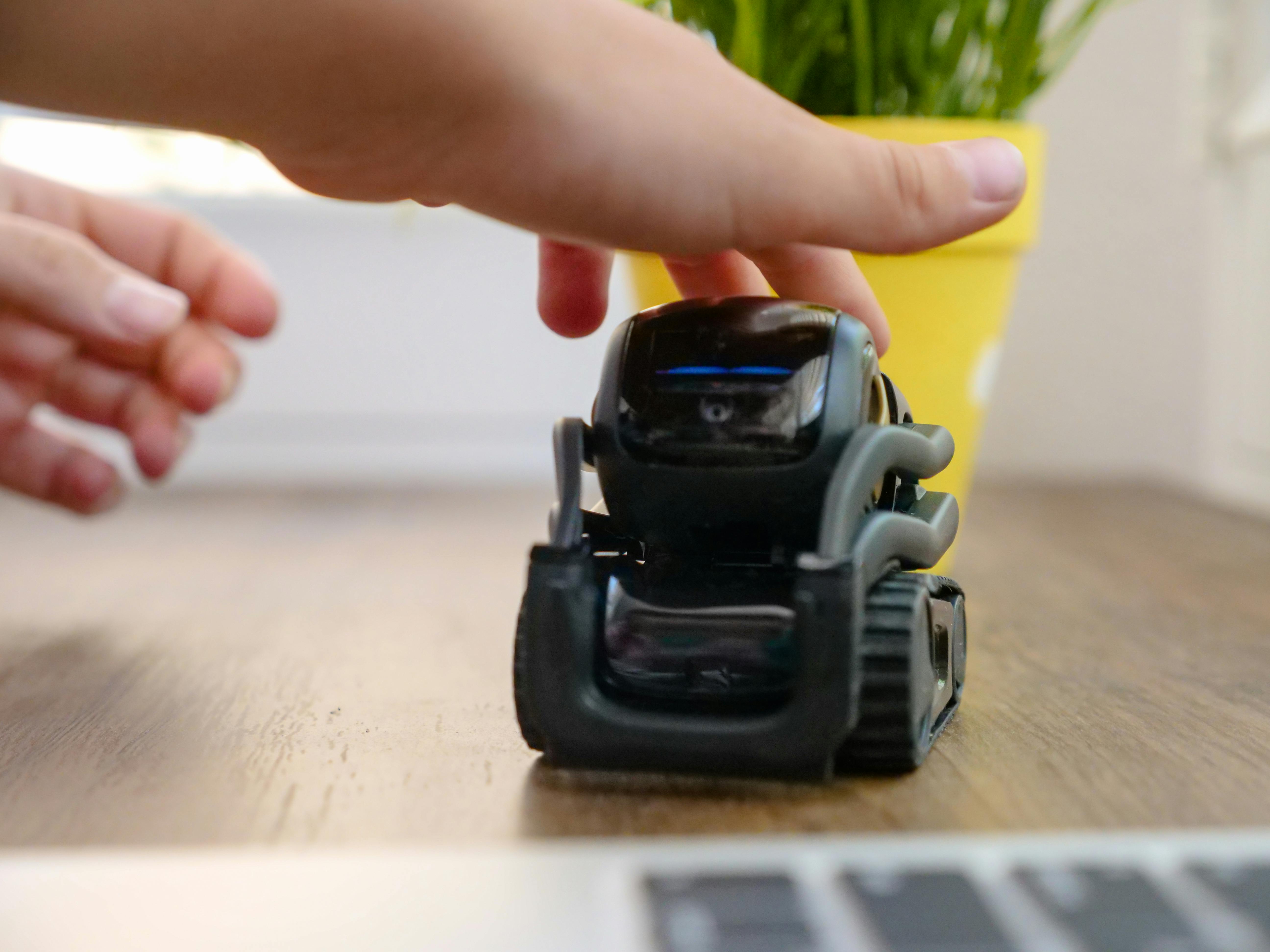 person petting miniature robot toy