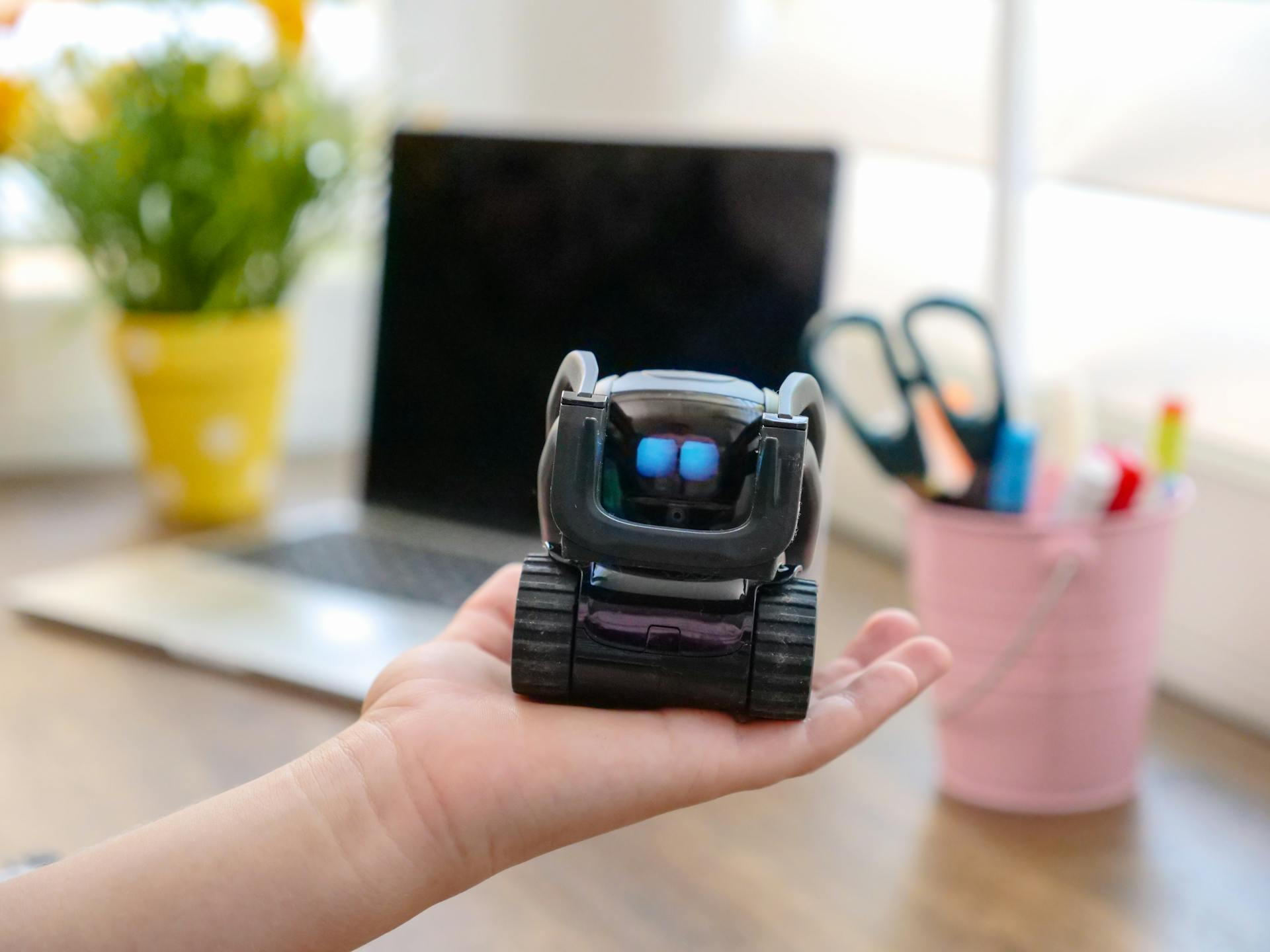 Black MIniature Robot on Person's Hand