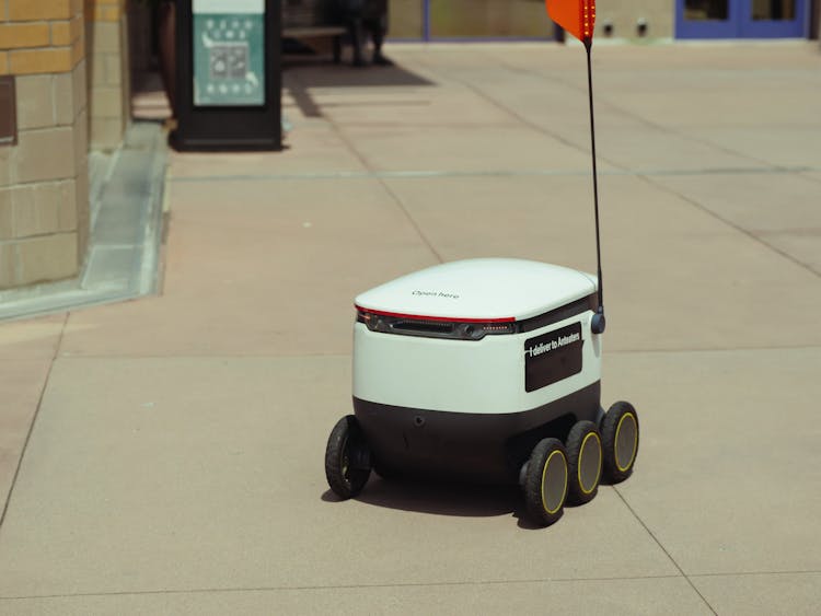 Delivery Robot On The Go