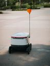 Delivery Robot on Pavement