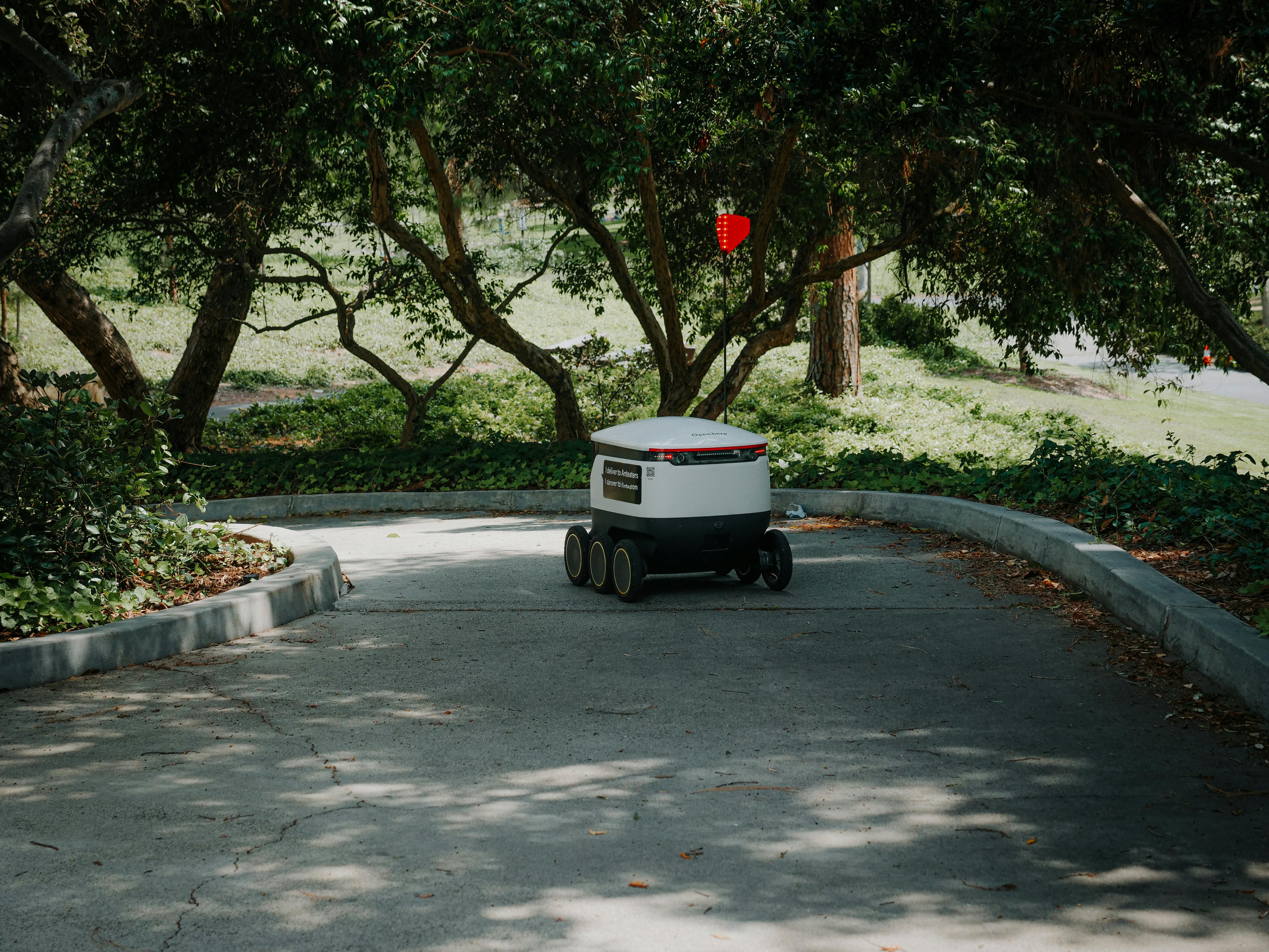 delivery robot on pavement under trees