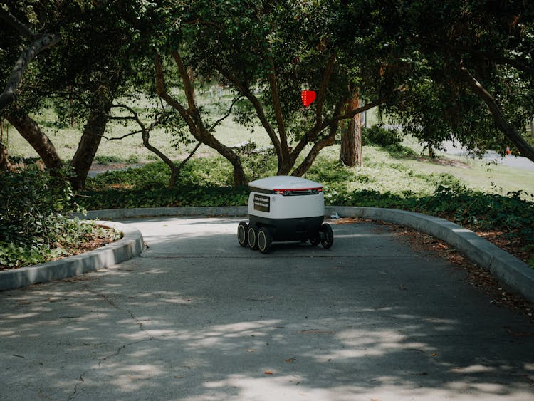 Delivery Robot On Pavement Under Trees
