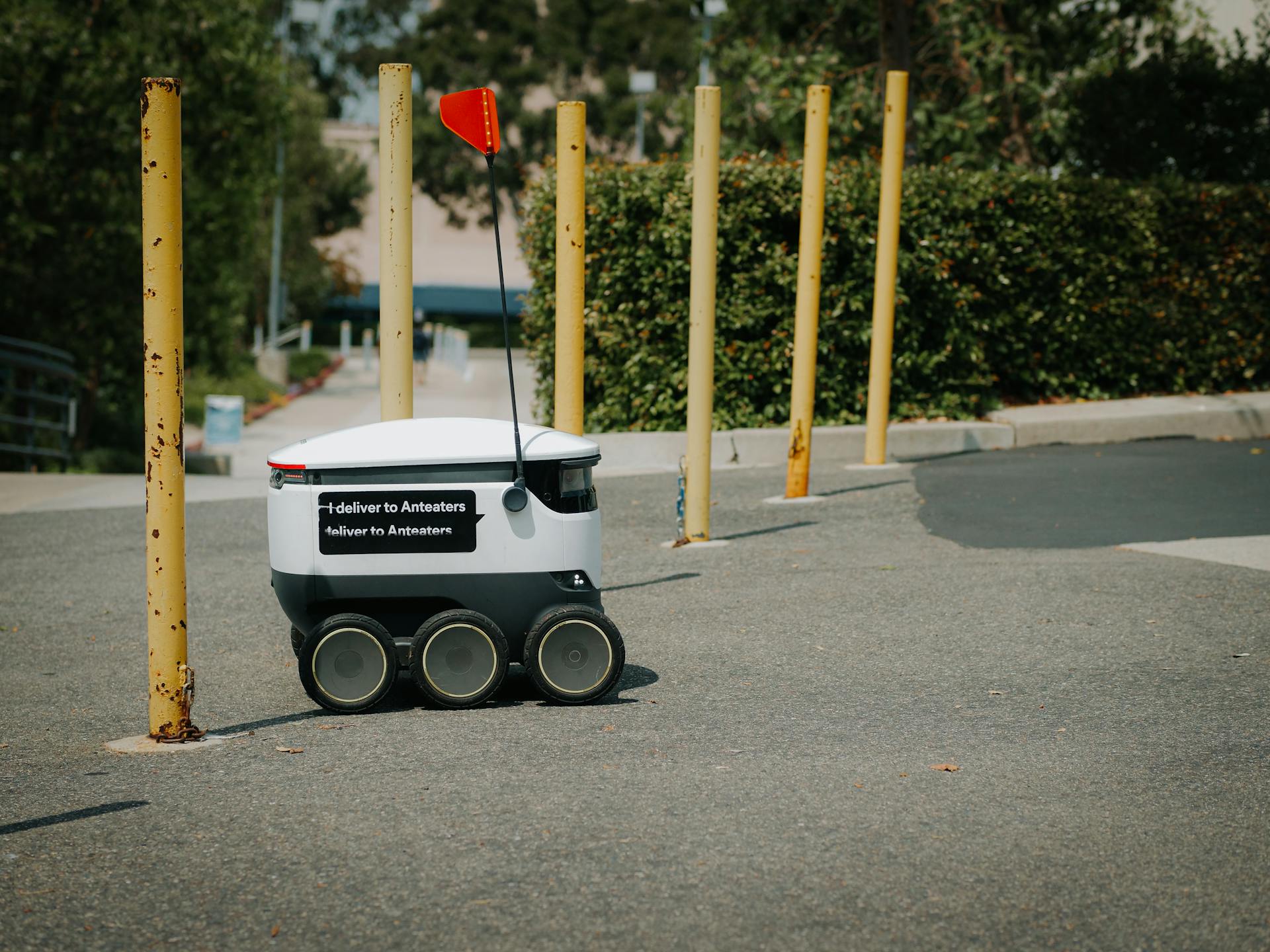 Black and White Delivery Robot